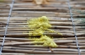 Bild 2 von Lehmfarbe Zitronenfalter 2.0  / (Menge) 1,0 kg