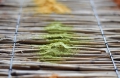 Bild 2 von Lehmfarbe Limone 2.0 (Gelb-Grün)  / (Menge) 0,5 kg