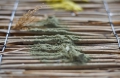 Bild 2 von Lehmfarbe Olive 2.0 samtrau  / (Menge) 0,5 kg