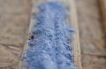 Bild 2 von Lehmstreichputz Blue King 2.0 (Blau-Violett)  / (Menge) 0,5 kg